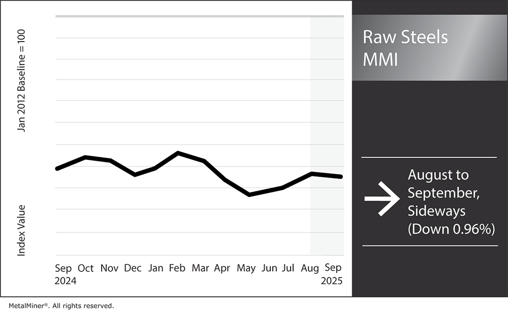 Raw Steels MMI